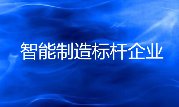 智能制造標(biāo)桿企業(yè)申報