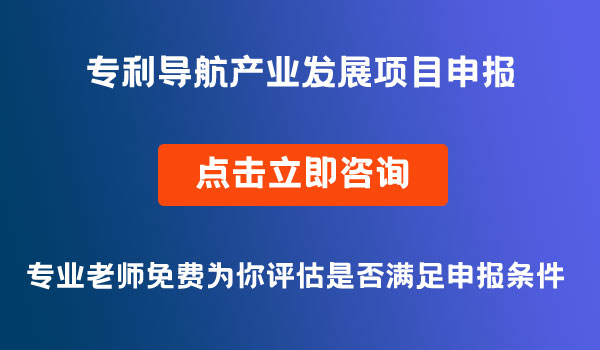 專利導航產(chǎn)業(yè)發(fā)展項目申報