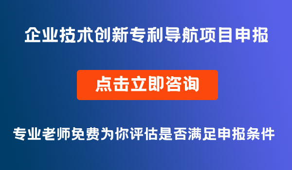 企業(yè)技術(shù)創(chuàng)新專(zhuān)利導(dǎo)航項(xiàng)目申報(bào)