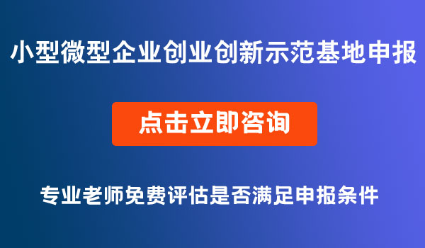 小型微型企業(yè)創(chuàng)業(yè)創(chuàng)新示范基地