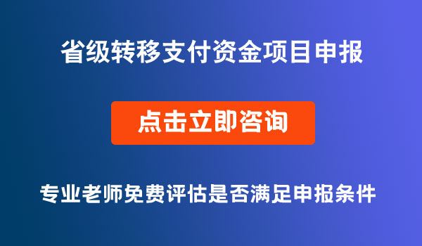 省級(jí)轉(zhuǎn)移支付資金項(xiàng)目