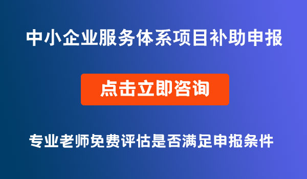 中小企業(yè)服務體系項目