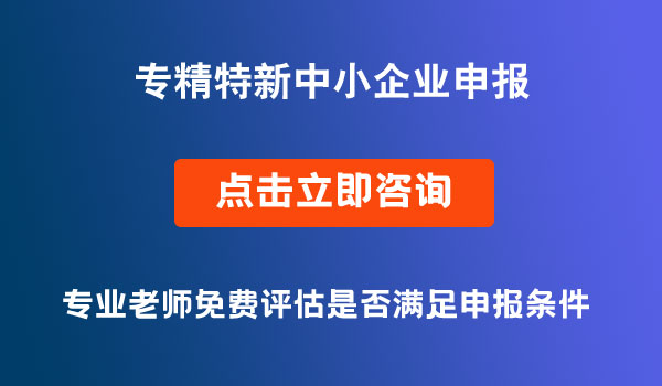 專精特新中小企業(yè)申報