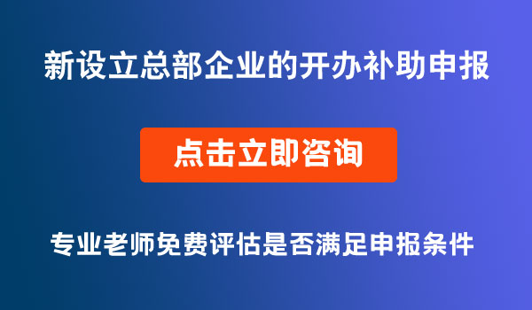 新設立總部企業(yè)的開辦補助