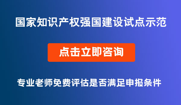 國(guó)家知識(shí)產(chǎn)權(quán)強(qiáng)國(guó)建設(shè)試點(diǎn)示范單位