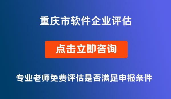 軟件企業(yè)評估