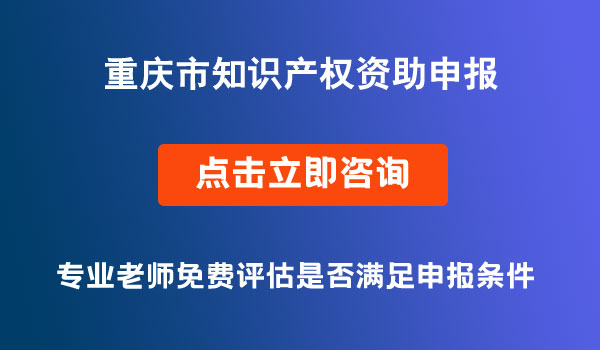 知識產權資助申報