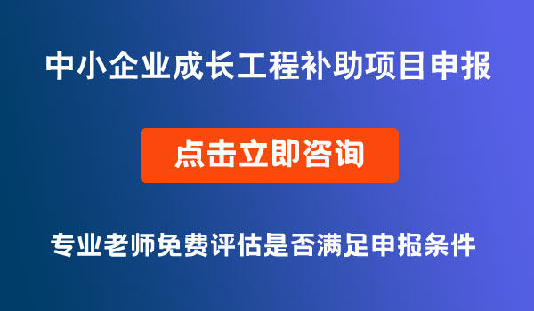 中小企業(yè)成長工程補助項目申報