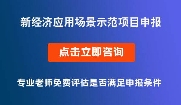 新經(jīng)濟應(yīng)用場景示范項目、科技計劃項目