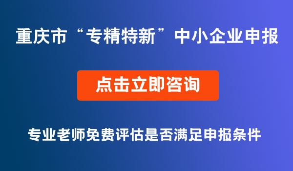 專精特新企業(yè)申報