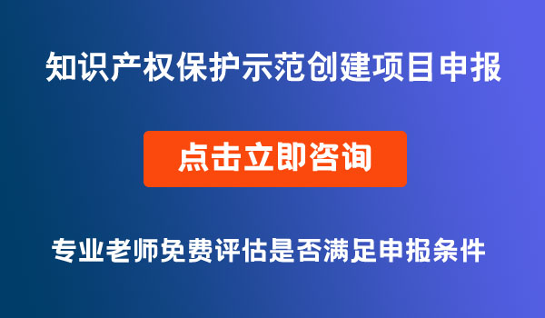 知識(shí)產(chǎn)權(quán)保護(hù)示范創(chuàng)建項(xiàng)目申報(bào)