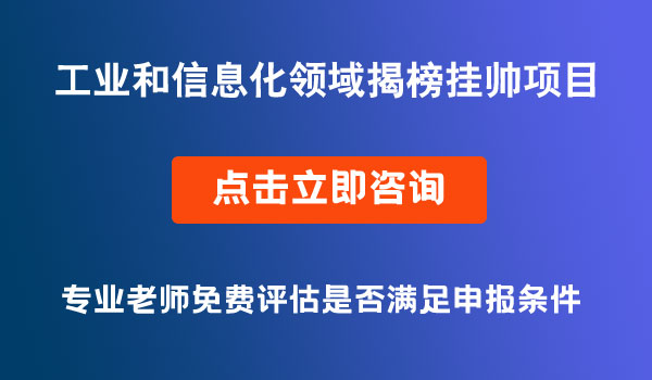 工業(yè)和信息化領(lǐng)域揭榜掛帥項(xiàng)目