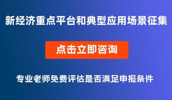 新經(jīng)濟重點平臺和典型應(yīng)用場景