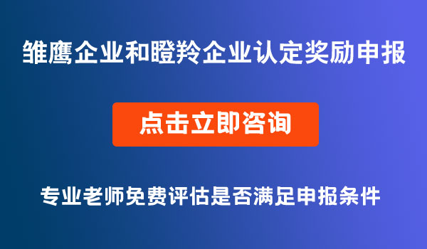 雛鷹企業(yè)和瞪羚企業(yè)認(rèn)定獎(jiǎng)勵(lì)申報(bào)