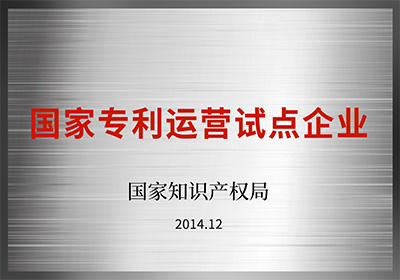 國家專利運營試點企業(yè)